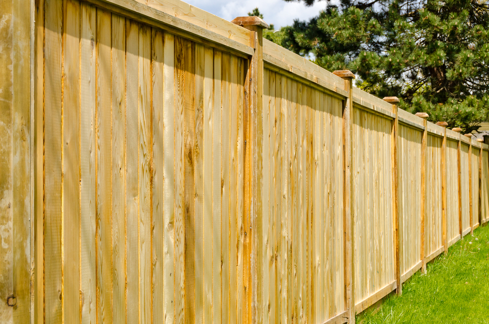 Fencing & External Works
